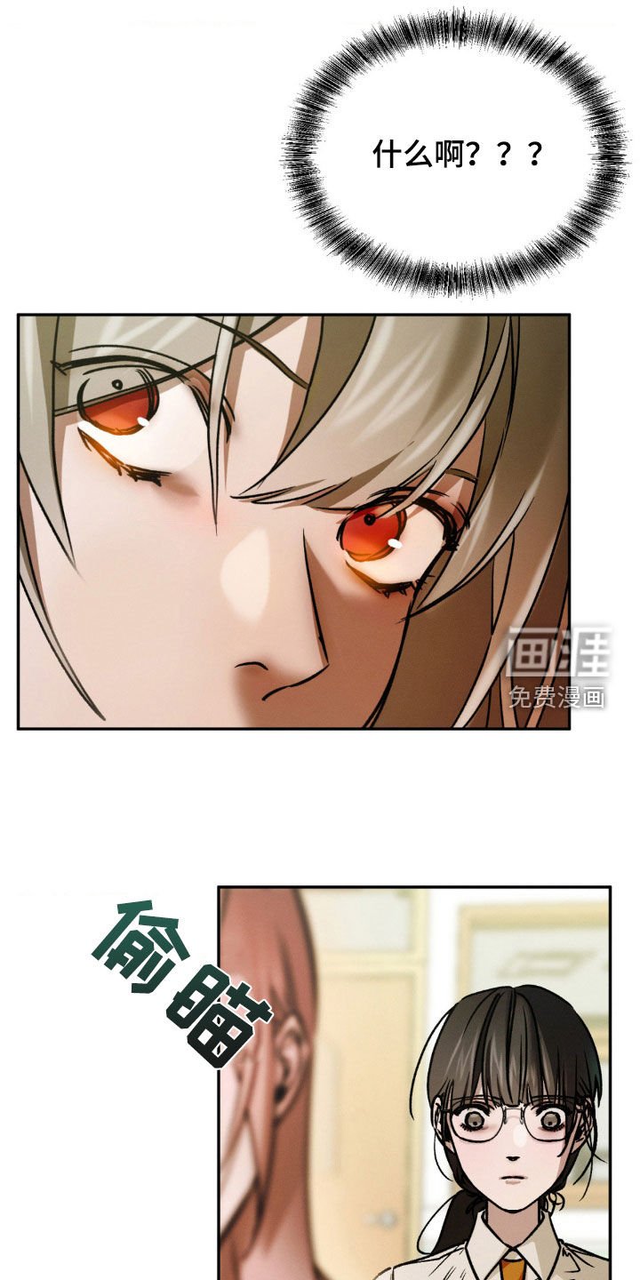 第44章：我看到了什么