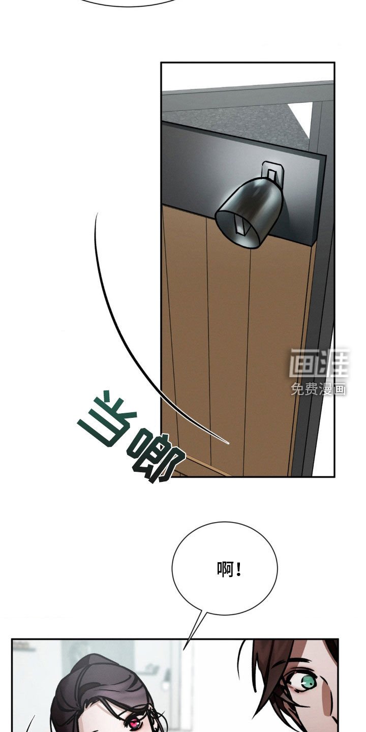 第48章：好像在哪见过