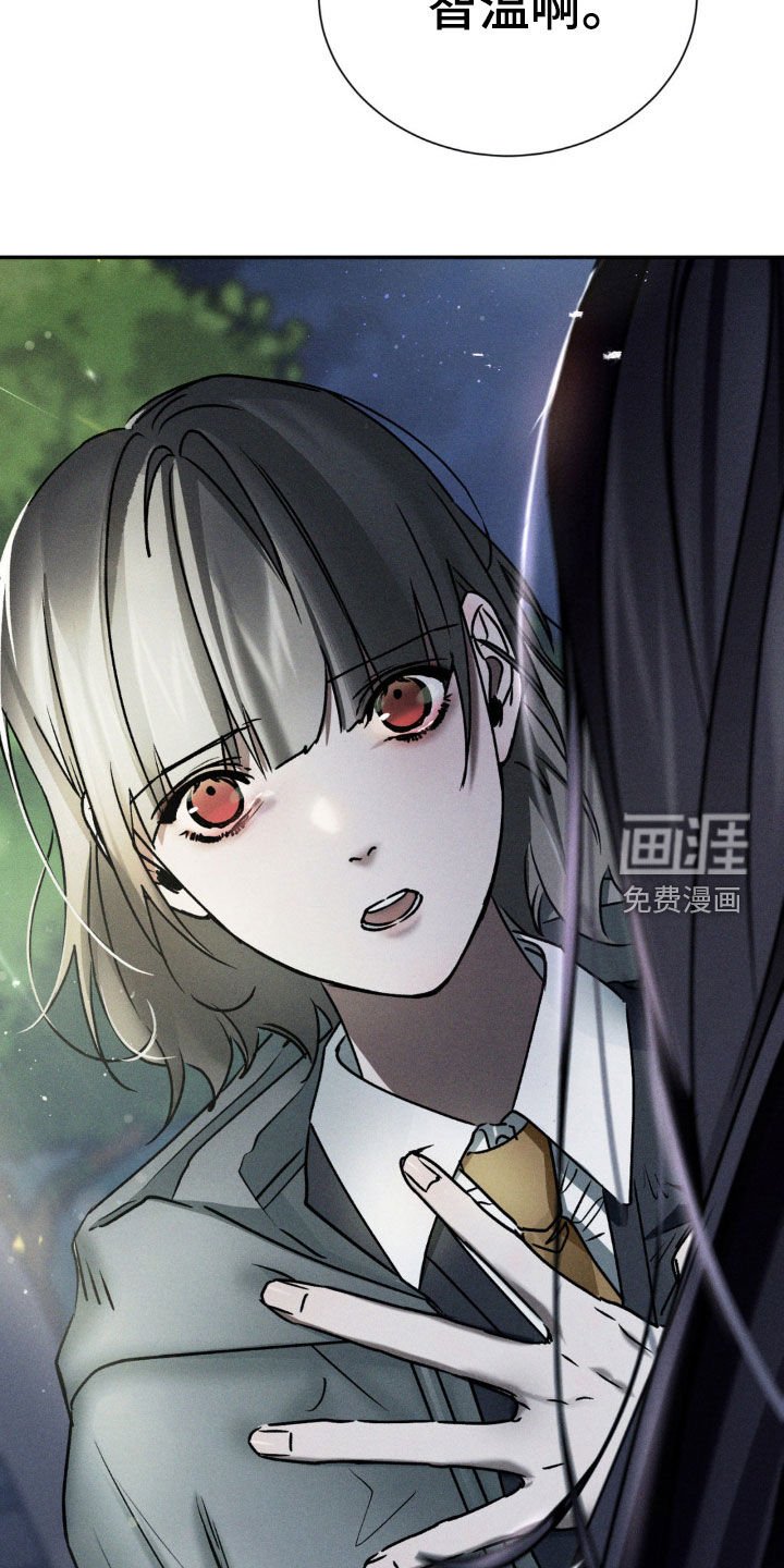 第70章：只说事实