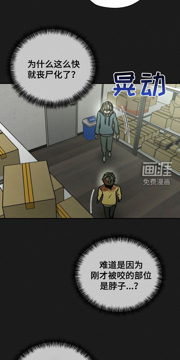 第77章：记忆