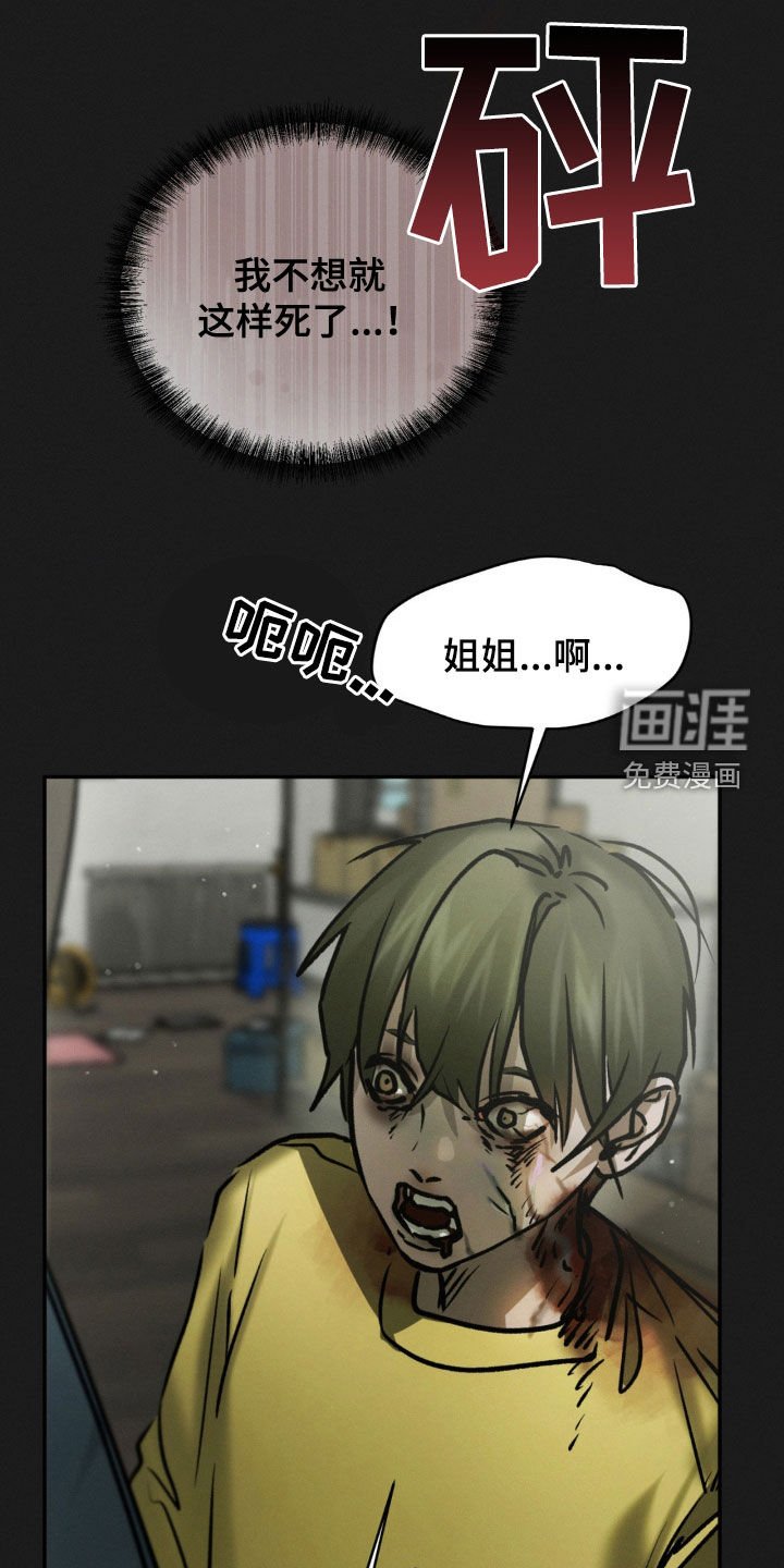 第77章：记忆