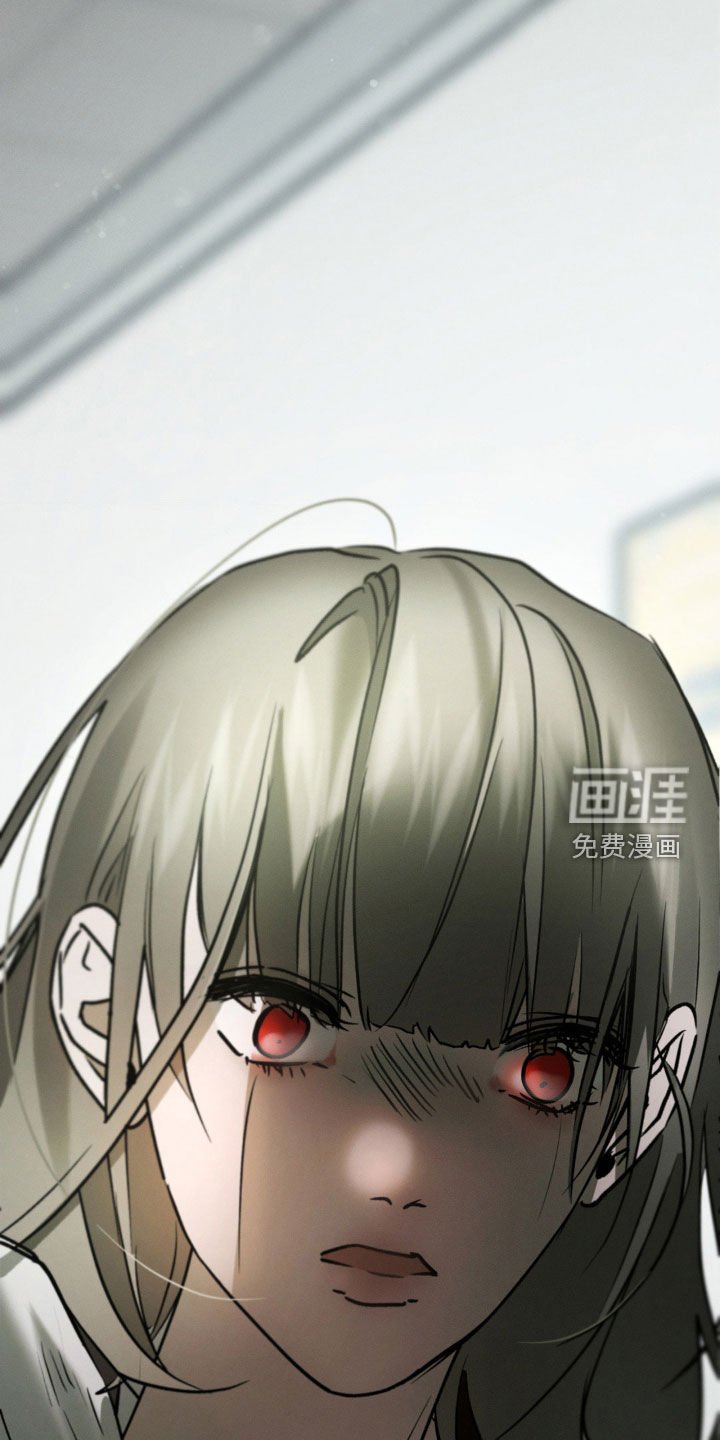 第77章：记忆