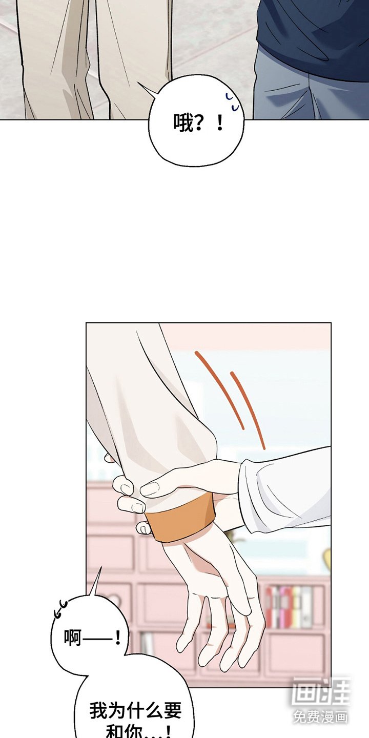 第16章：机会