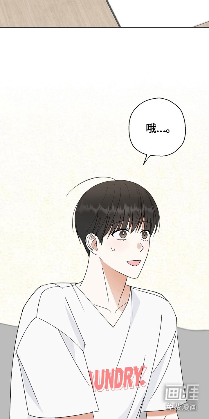 第21章：分裂