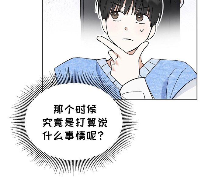 第21章：分裂