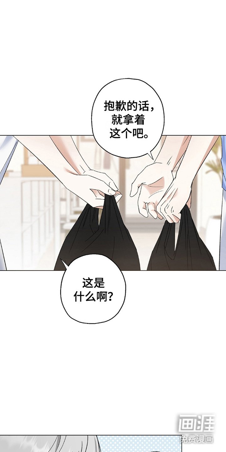 第25章：惊喜摄像机