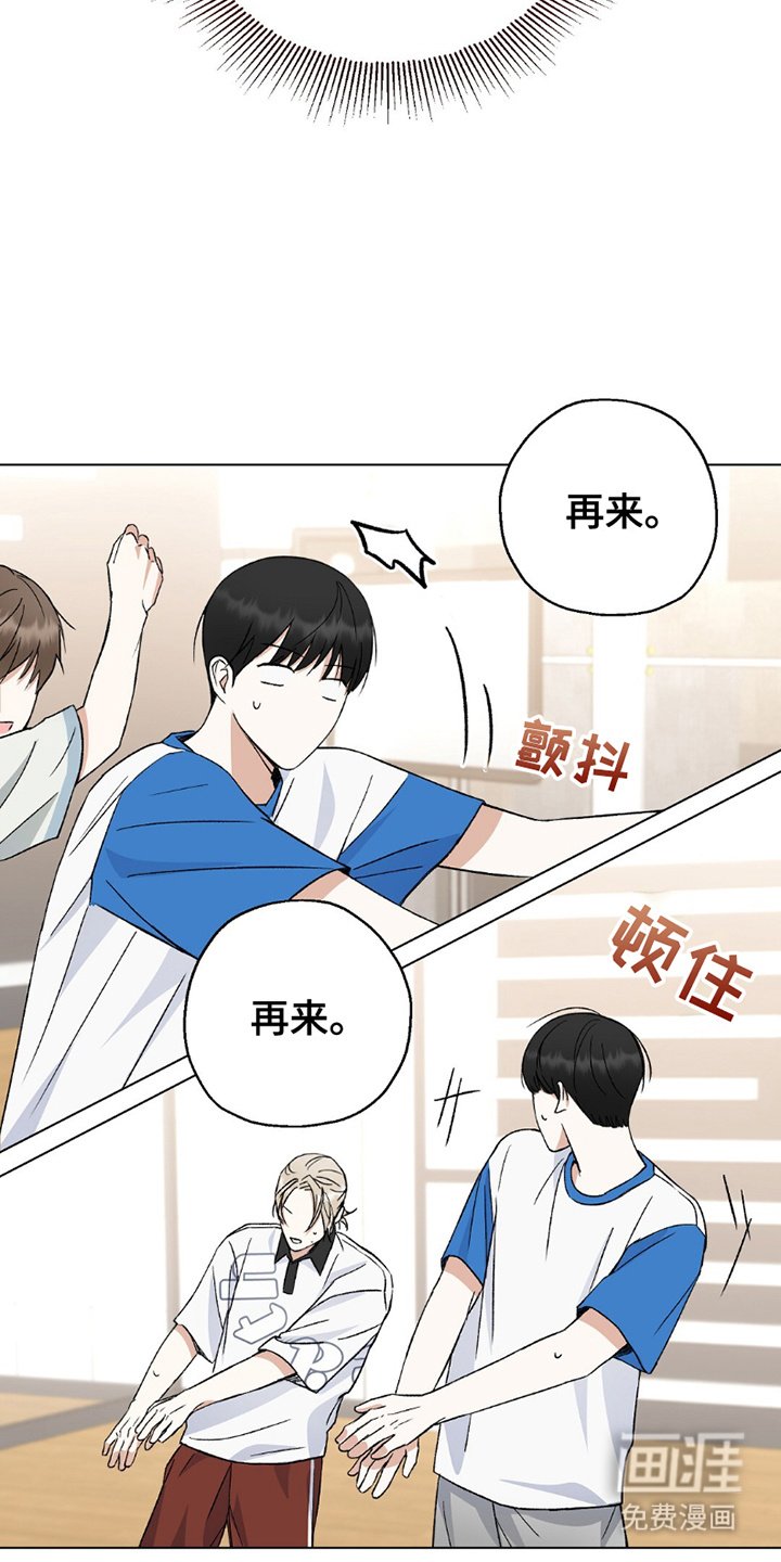 第6章：五人组