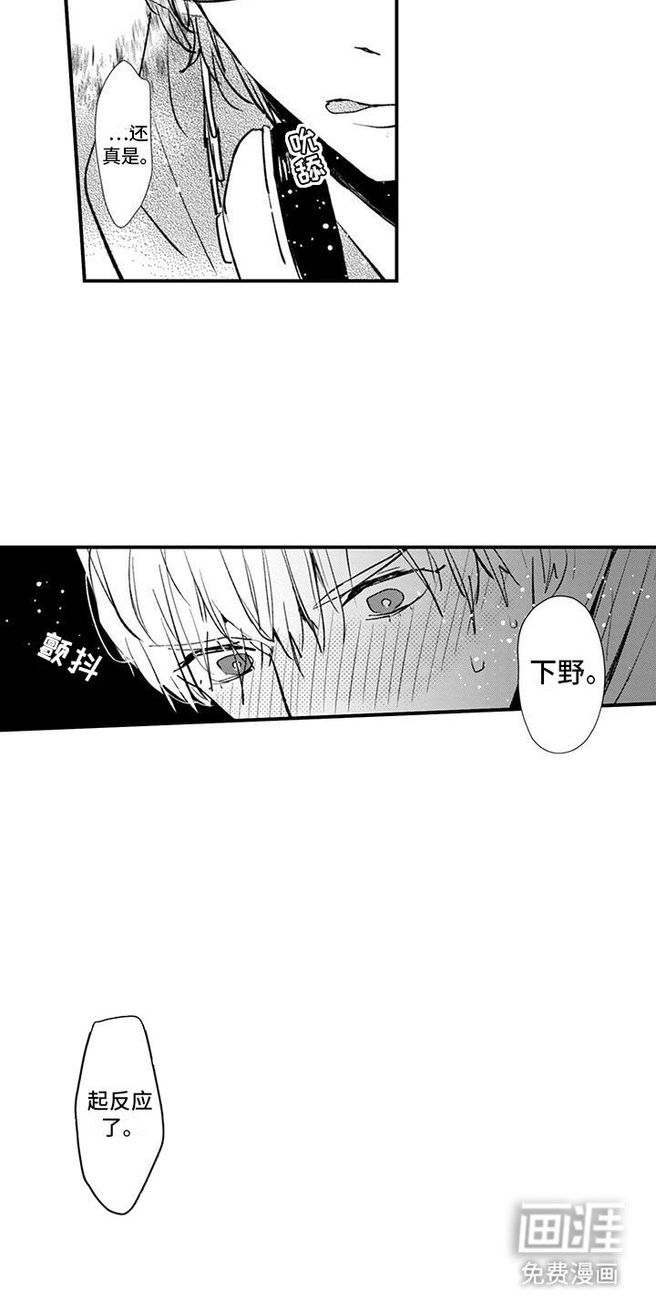 第3章：试一试