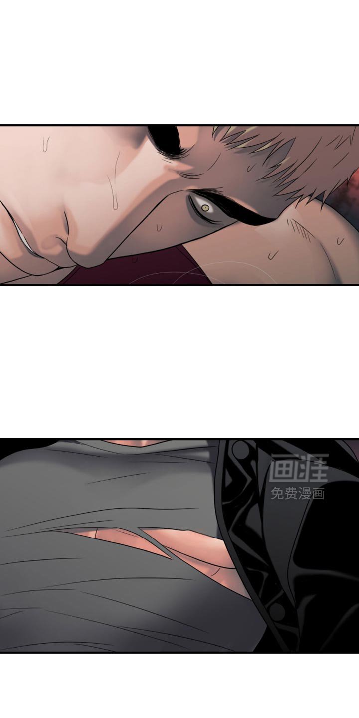 第45章：总算到手了