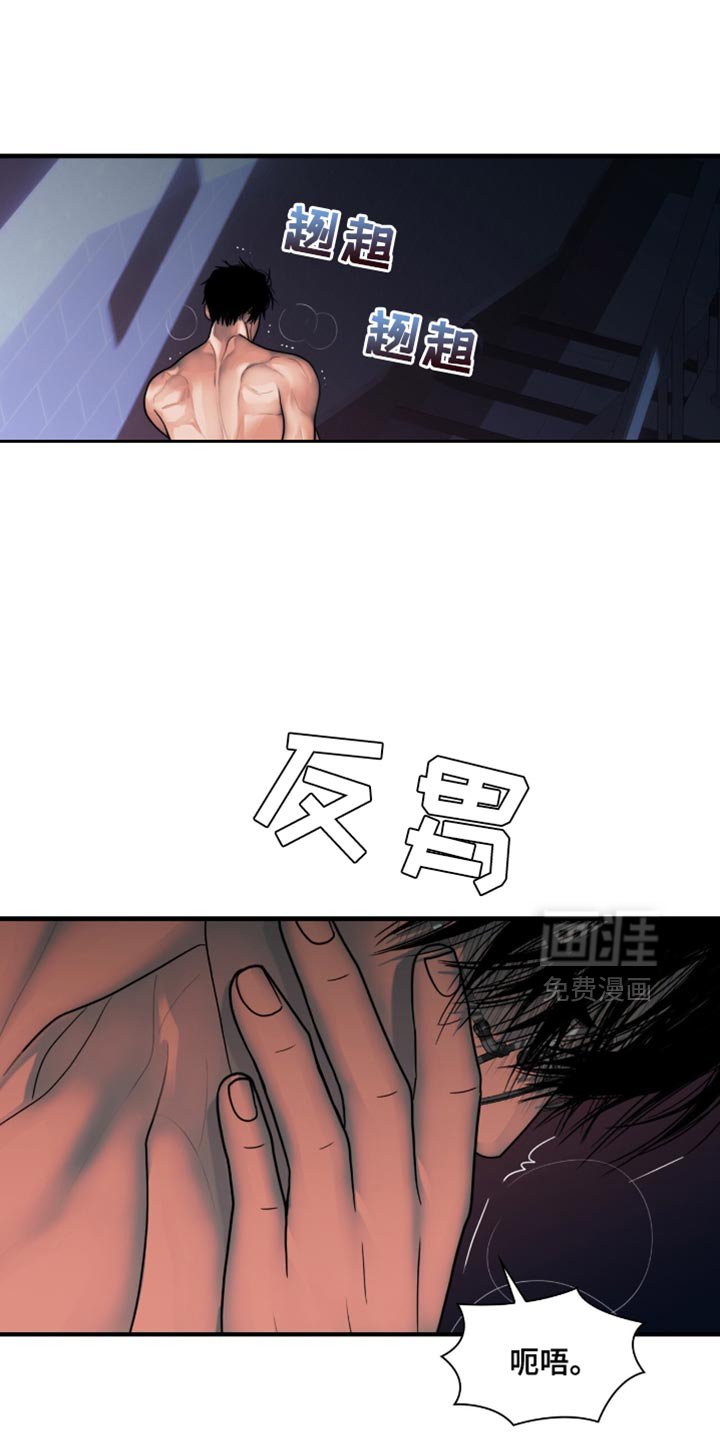 第56章：我为你准备一切