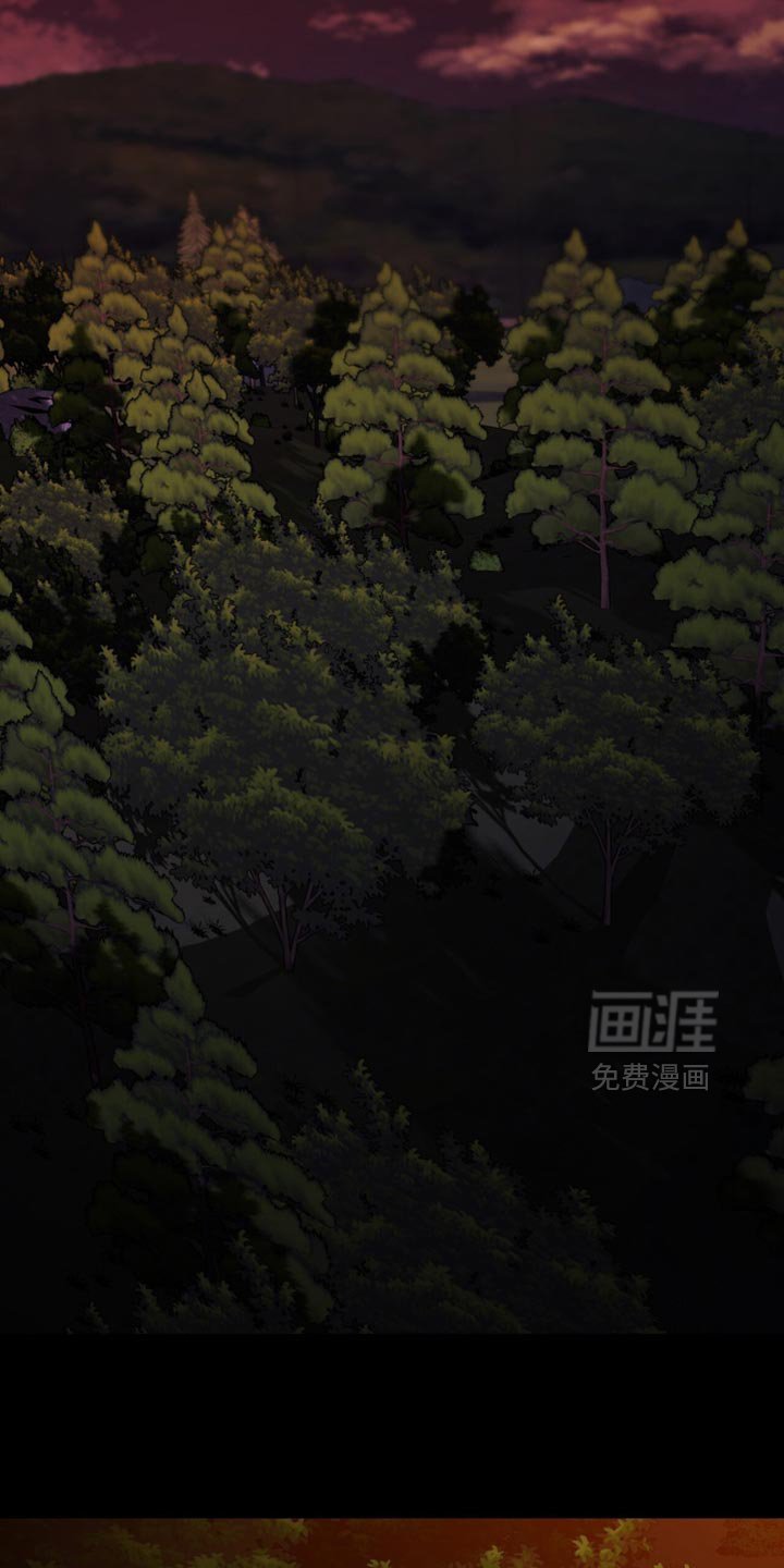 第63章：没有人会伤害你