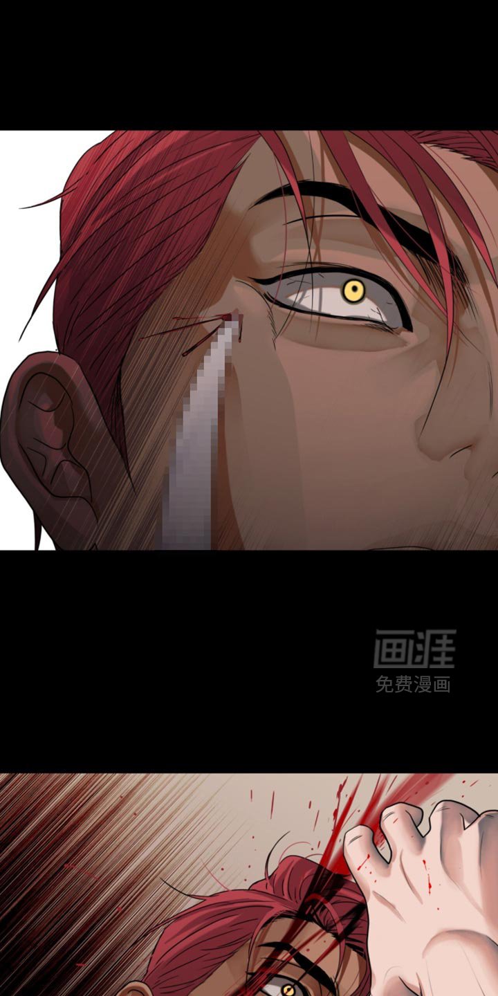 第75章：【第二季】闲情逸致