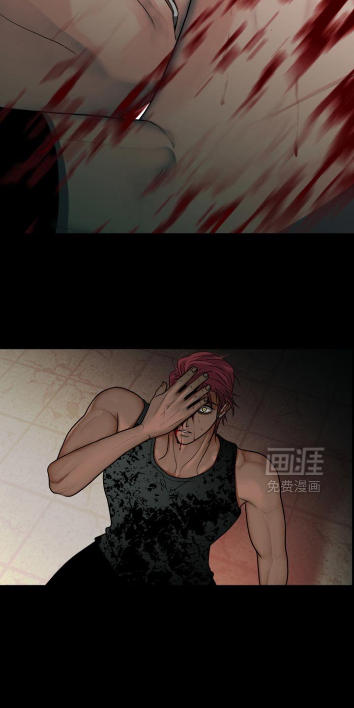 第75章：【第二季】闲情逸致