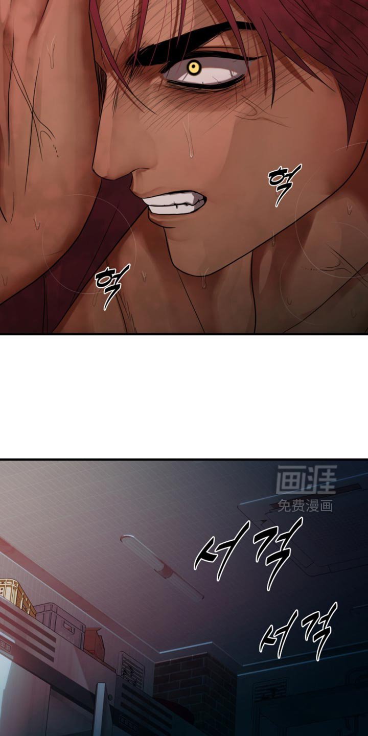 第75章：【第二季】闲情逸致