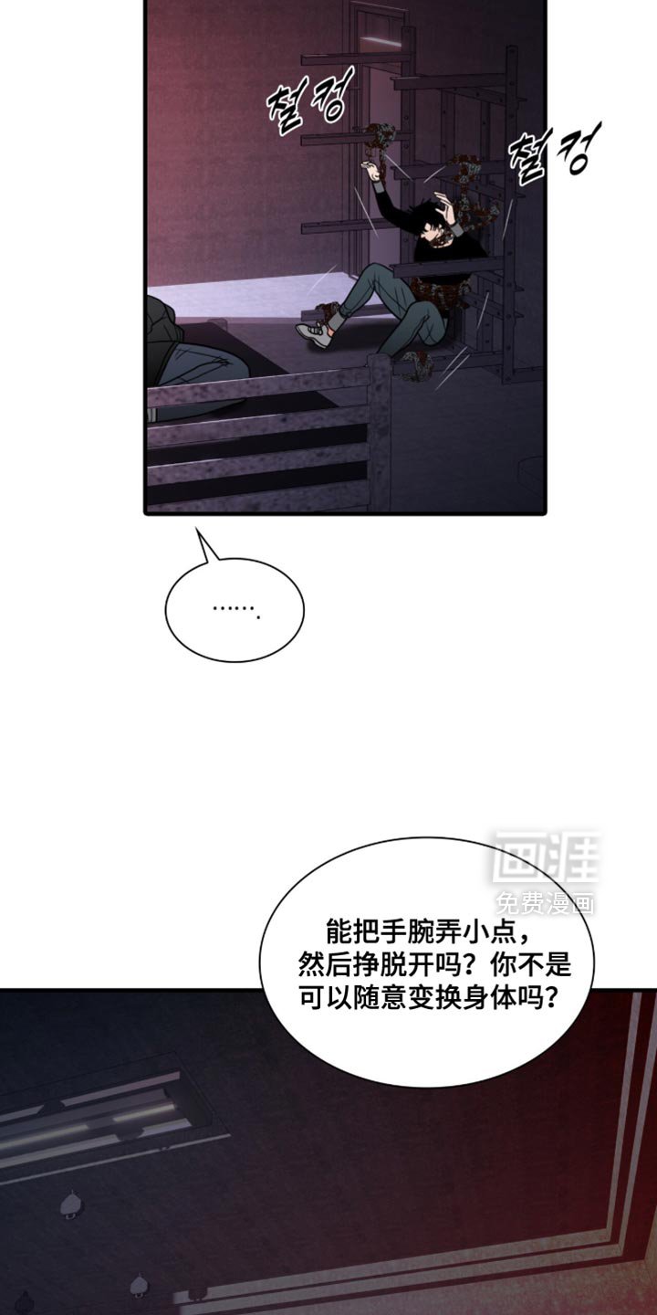 第75章：【第二季】闲情逸致