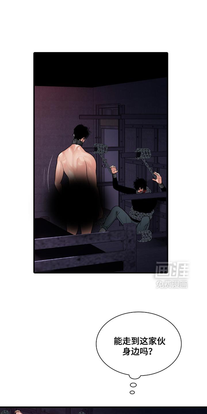 第84章：【第二季】绝对不会死