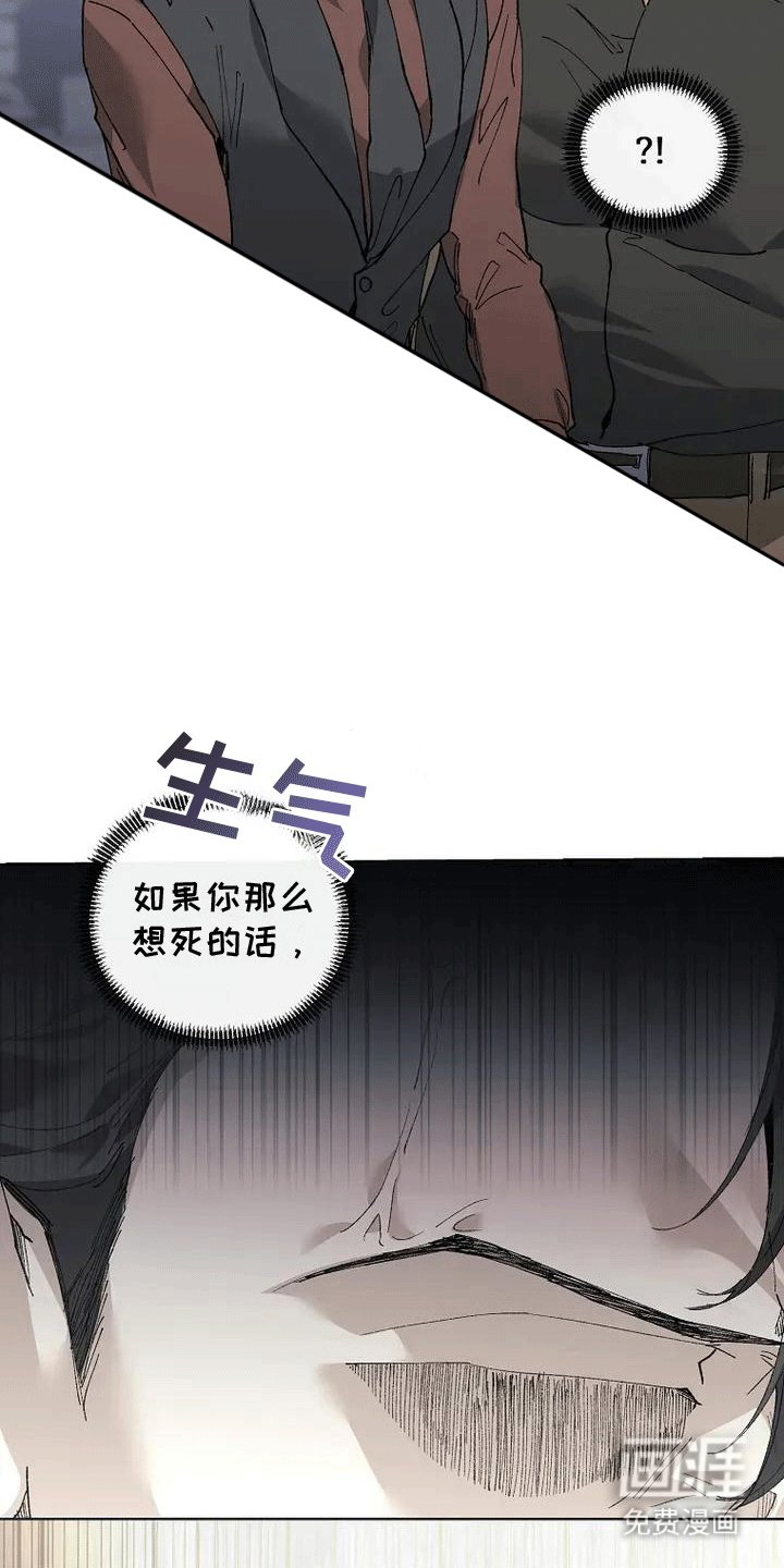 第3章：黄雀在后