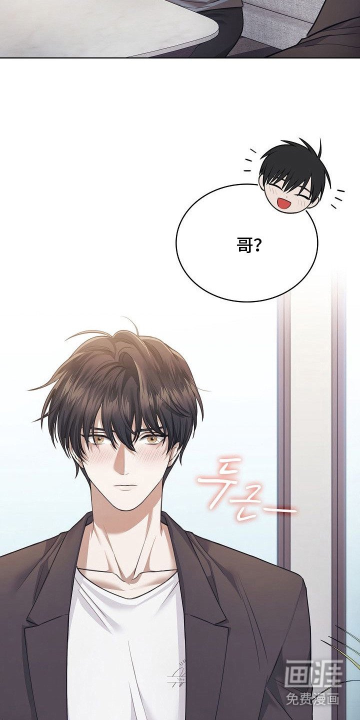 第13章：学习链接