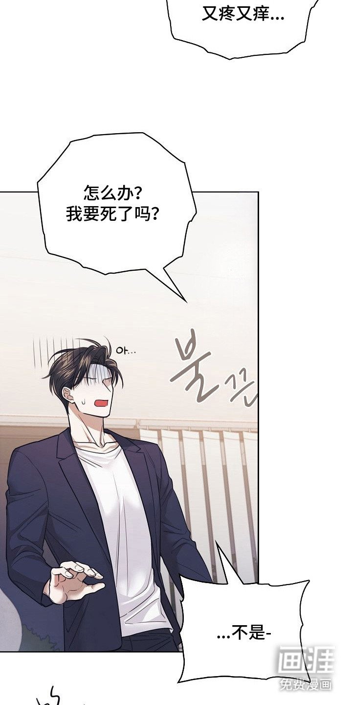 第7章：给我看看