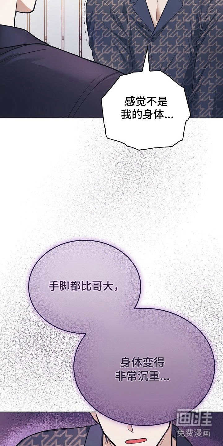 第7章：给我看看