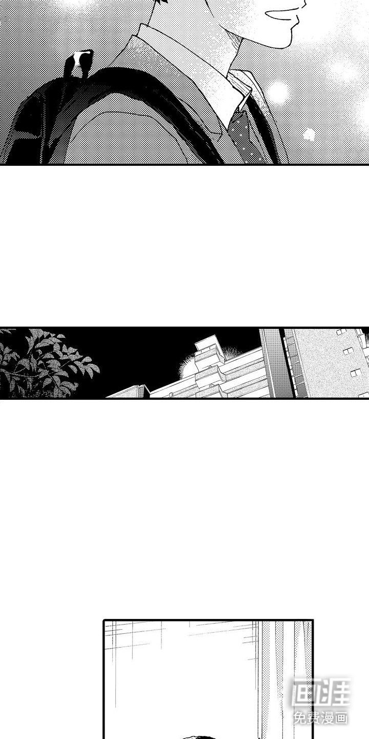 第12章：高冷小猫