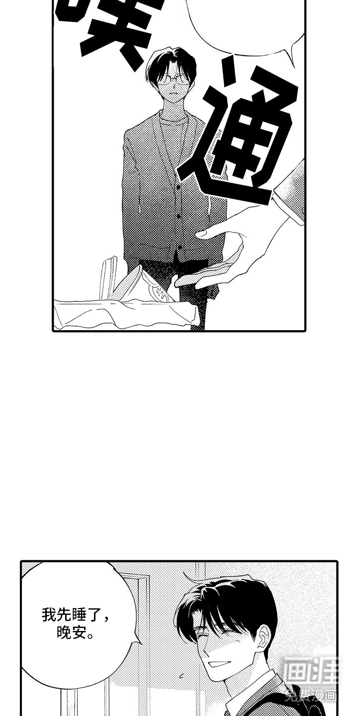 第19章：掩盖