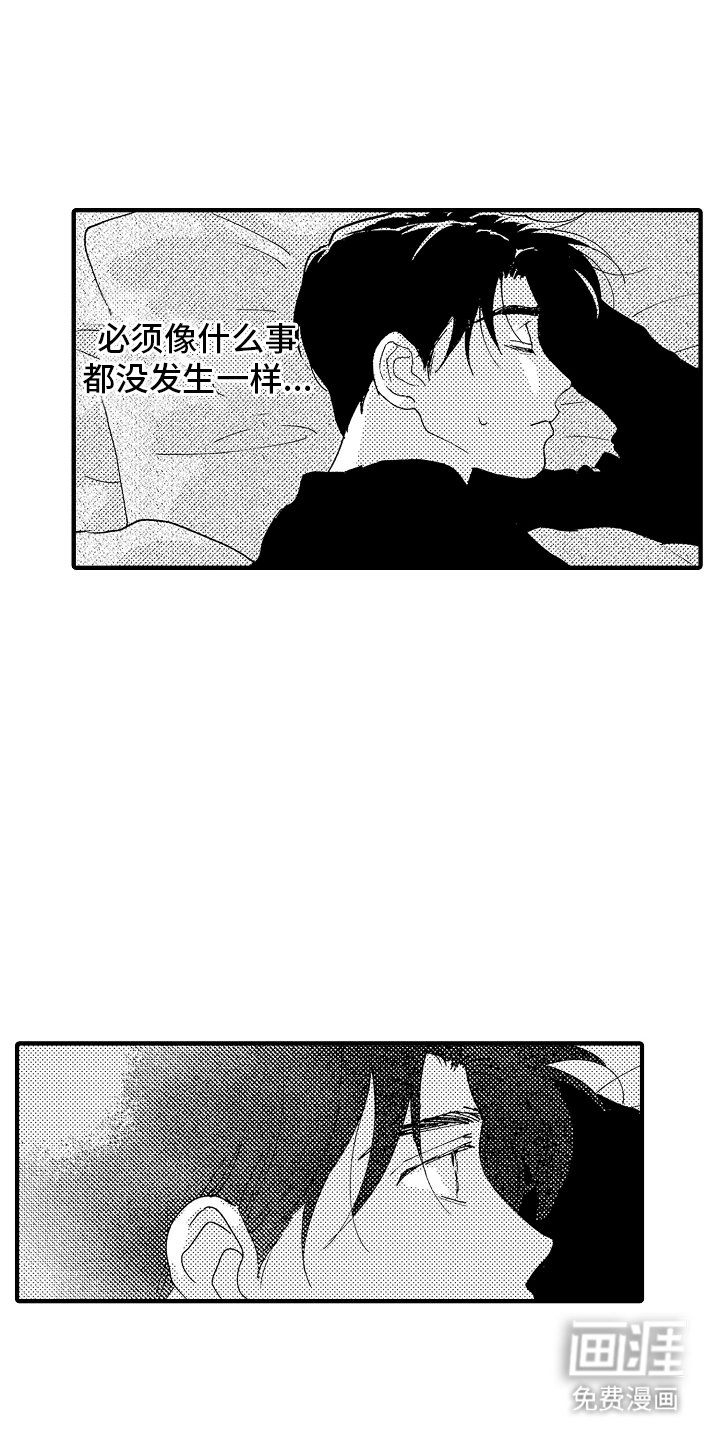 第19章：掩盖