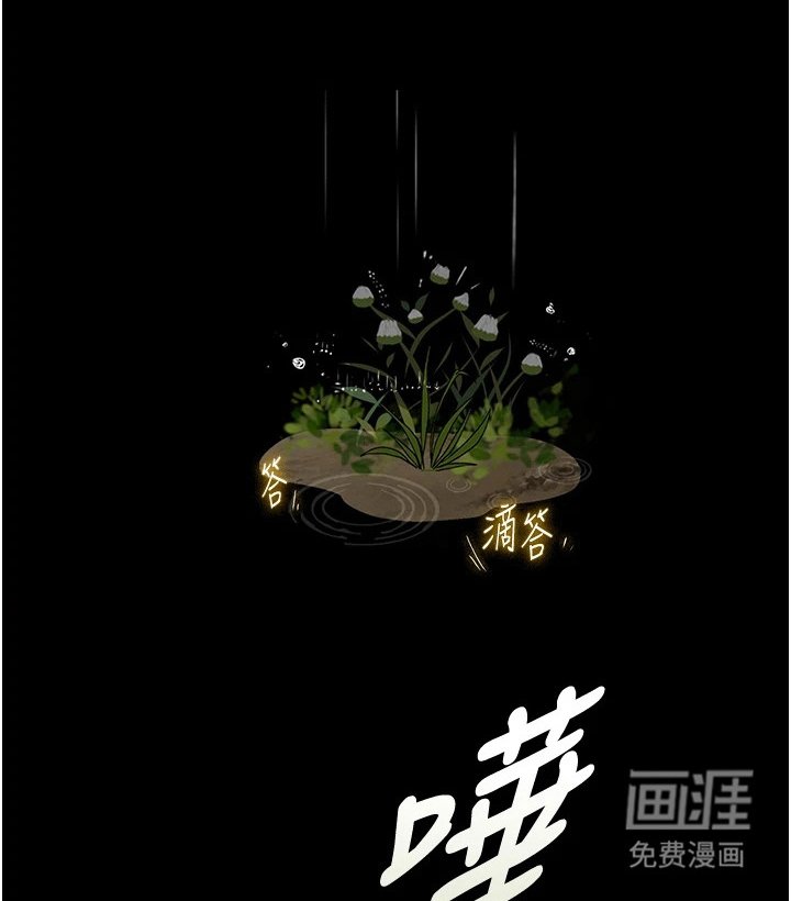 第12章：惊喜礼物