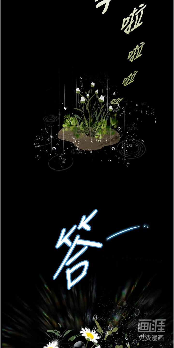 第12章：惊喜礼物