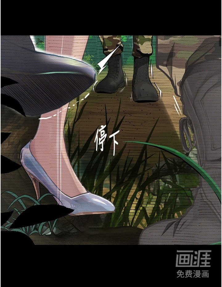 第12章：惊喜礼物