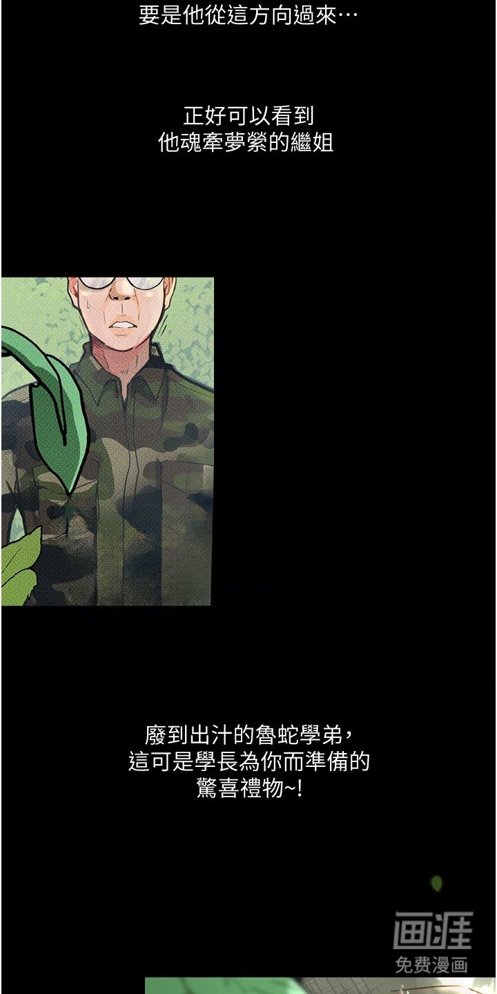 第12章：惊喜礼物