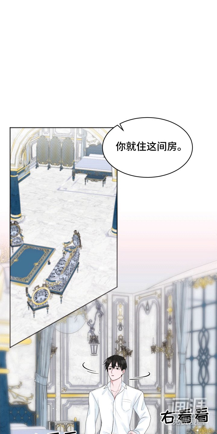 第3章：收留