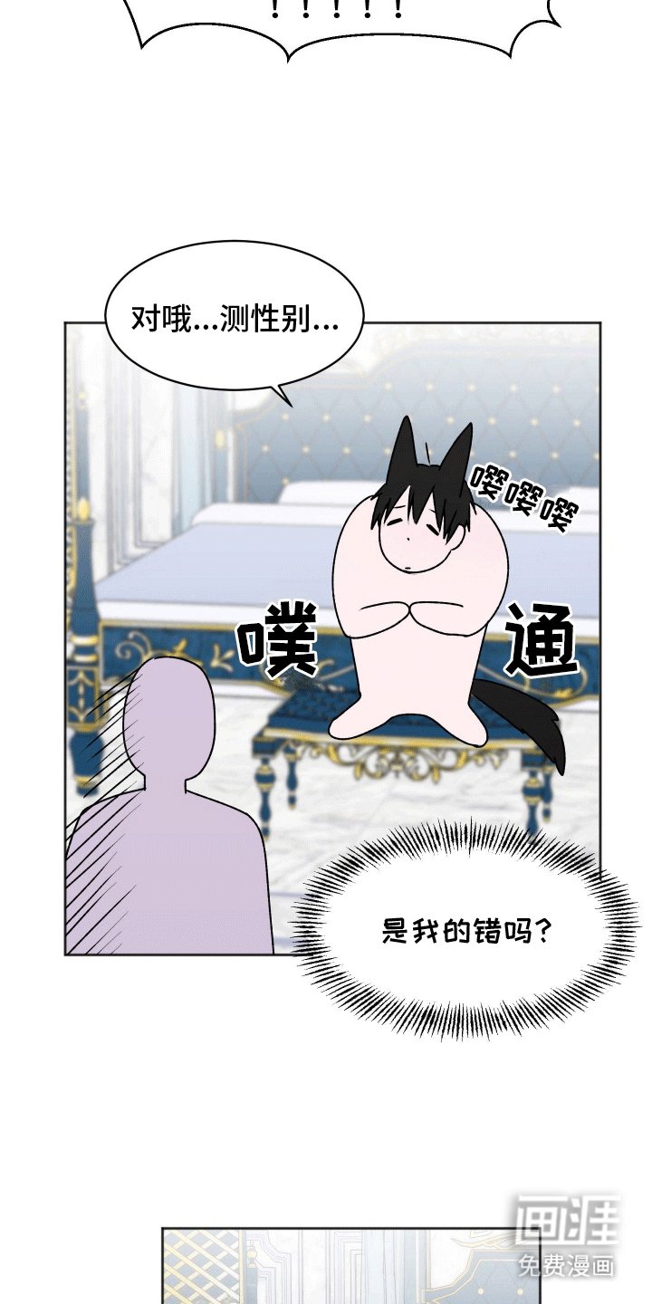 第3章：收留