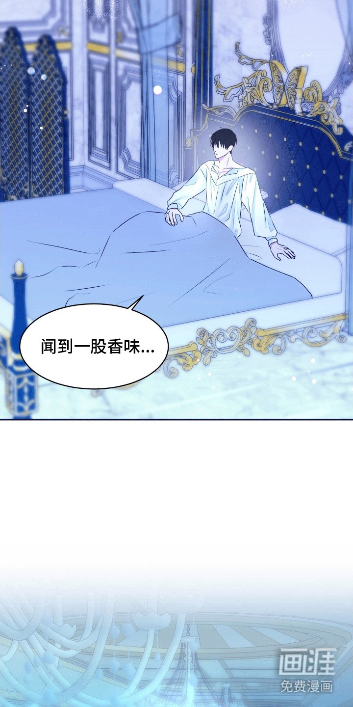 第4章：夜晚的决定