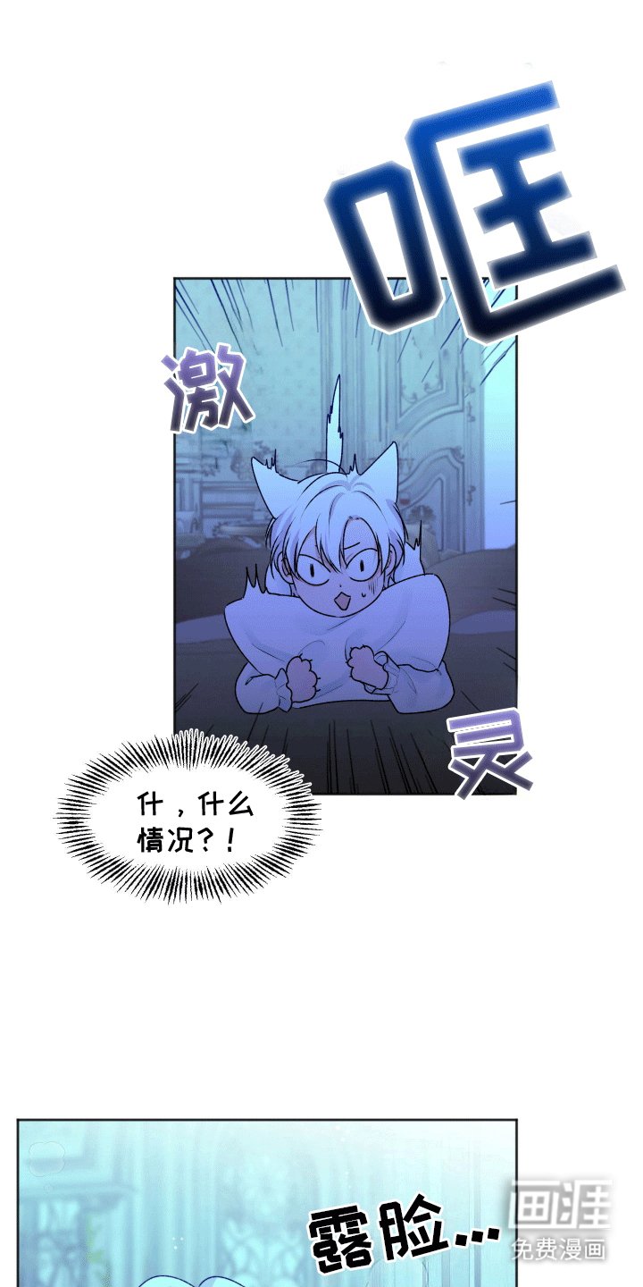 第4章：夜晚的决定