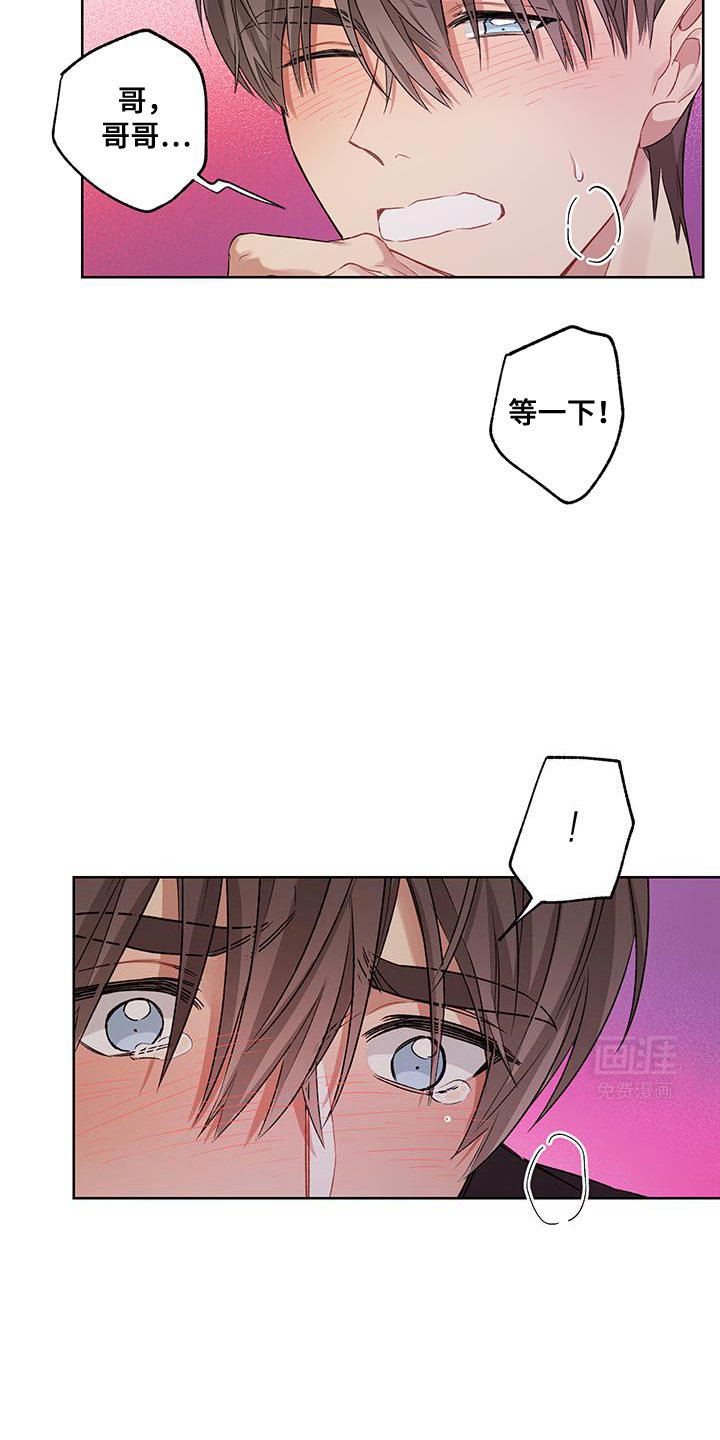 第17章：不是我的错觉