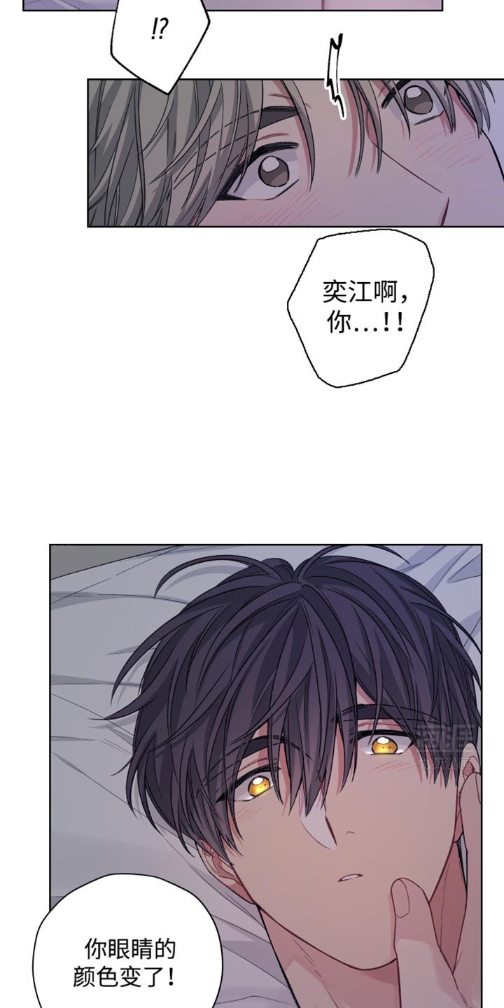 第22章：宝物