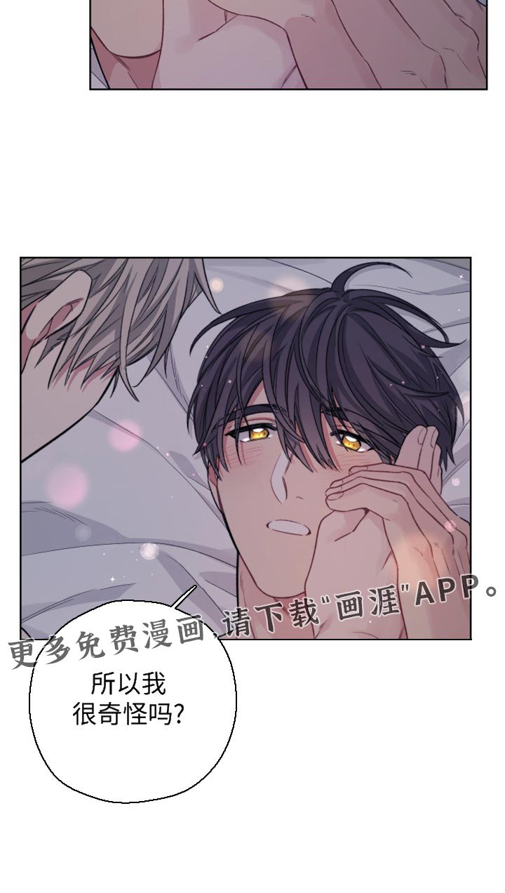 第22章：宝物