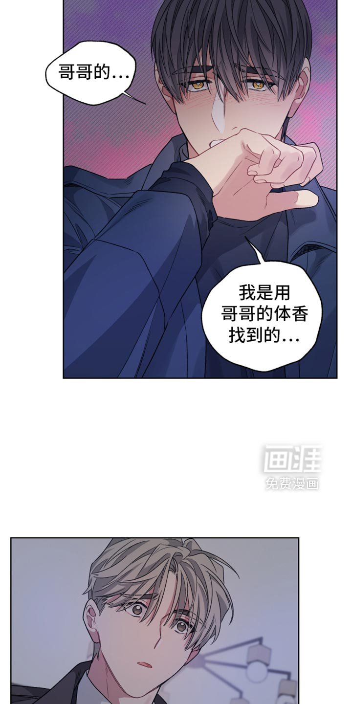 第28章：无法理解
