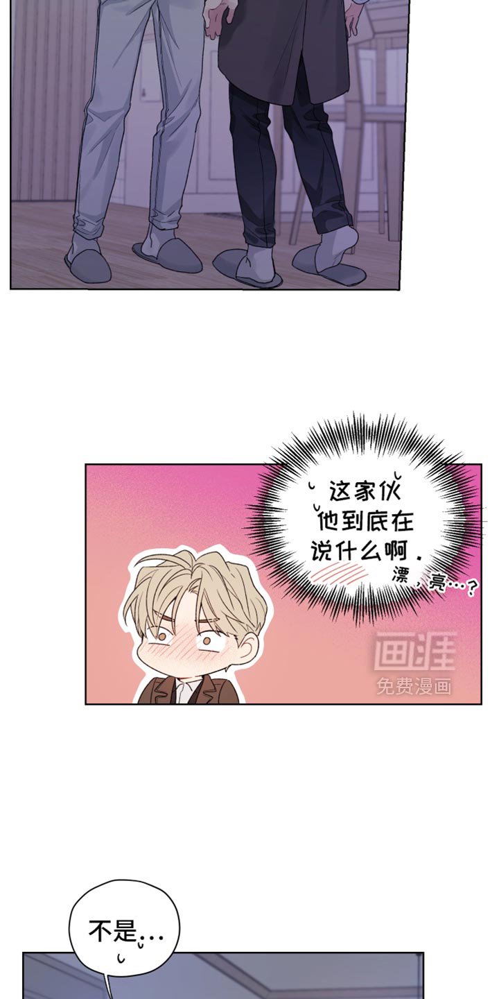第28章：无法理解