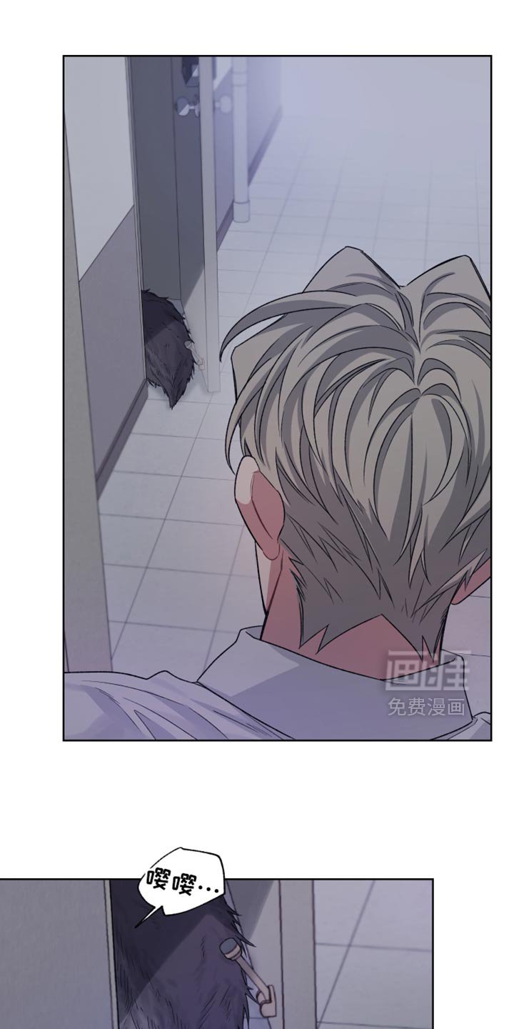 第29章：尾巴