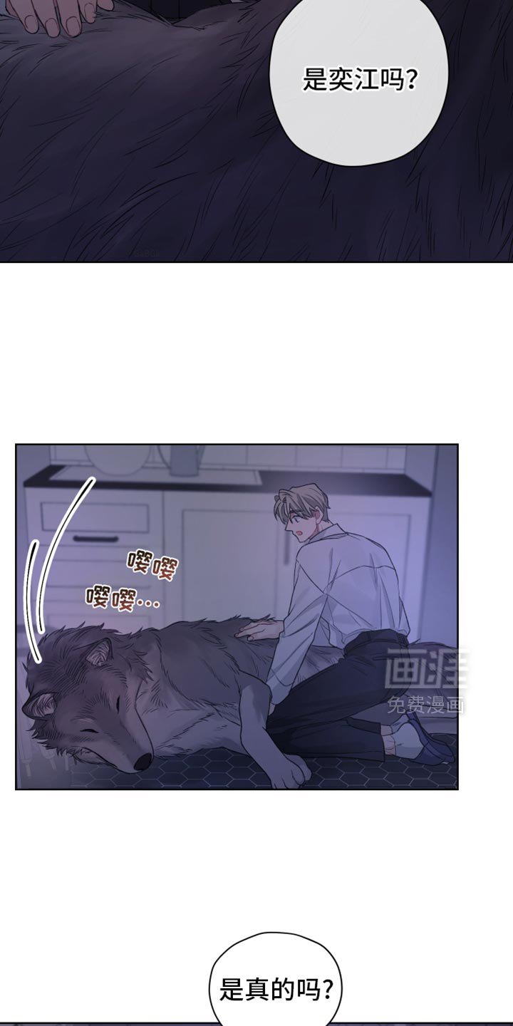 第30章：我知道是你