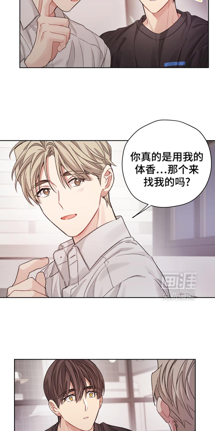 第32章：伤害