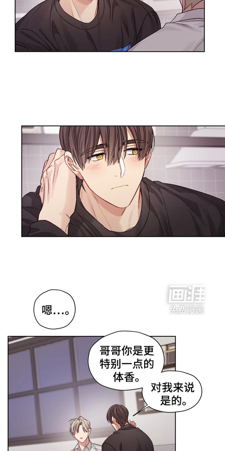 第32章：伤害