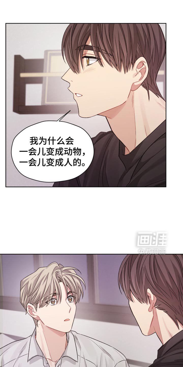 第32章：伤害