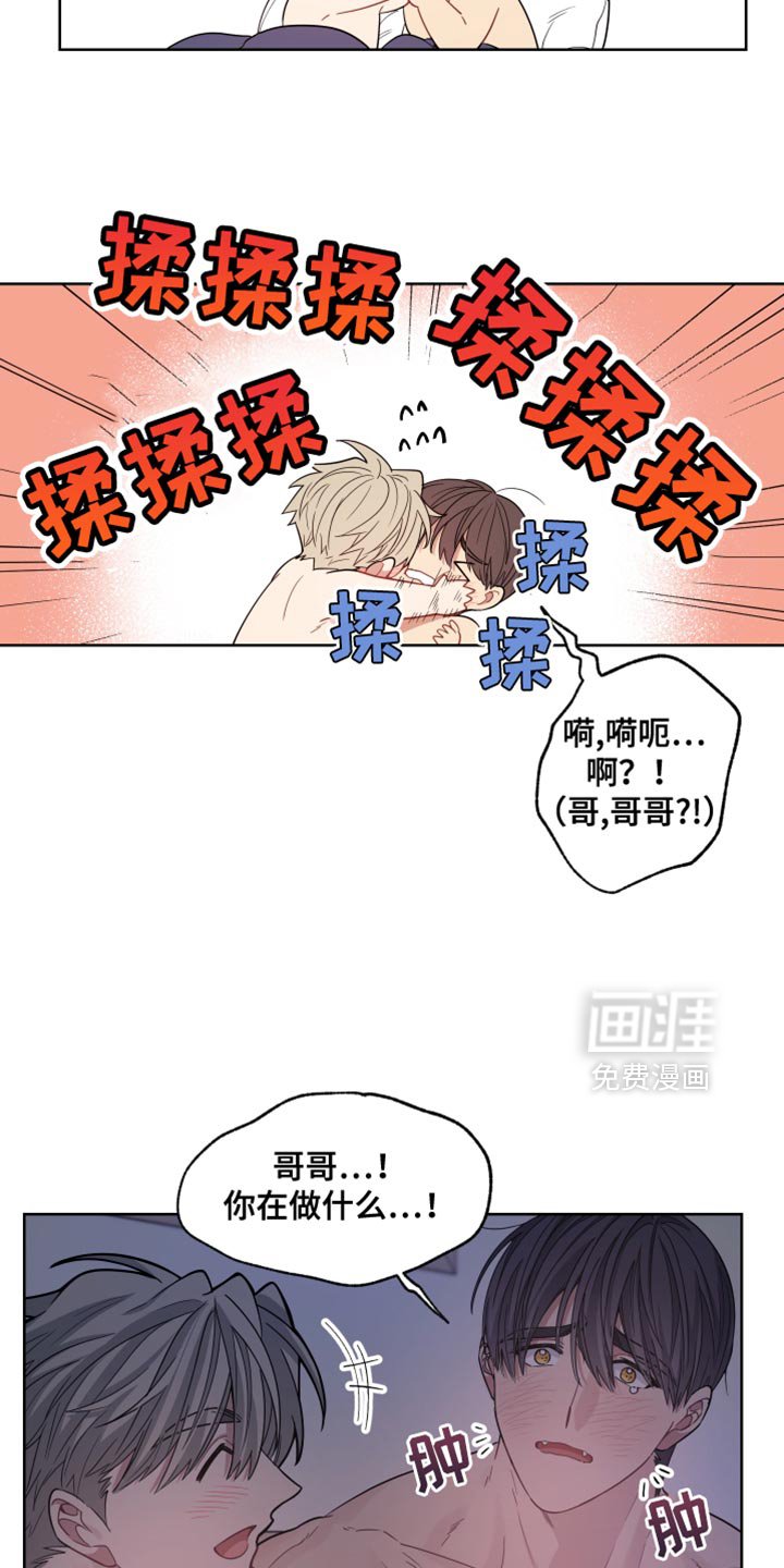 第41章：狼人的一切（第一季完结）