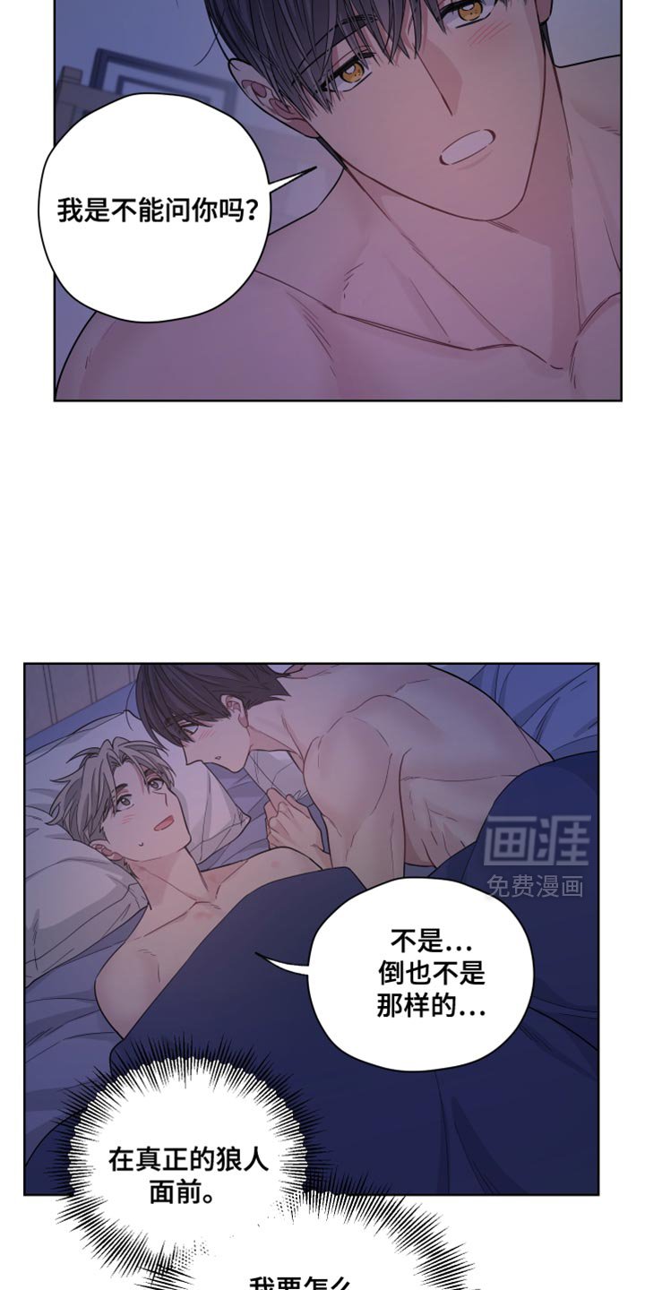第41章：狼人的一切（第一季完结）