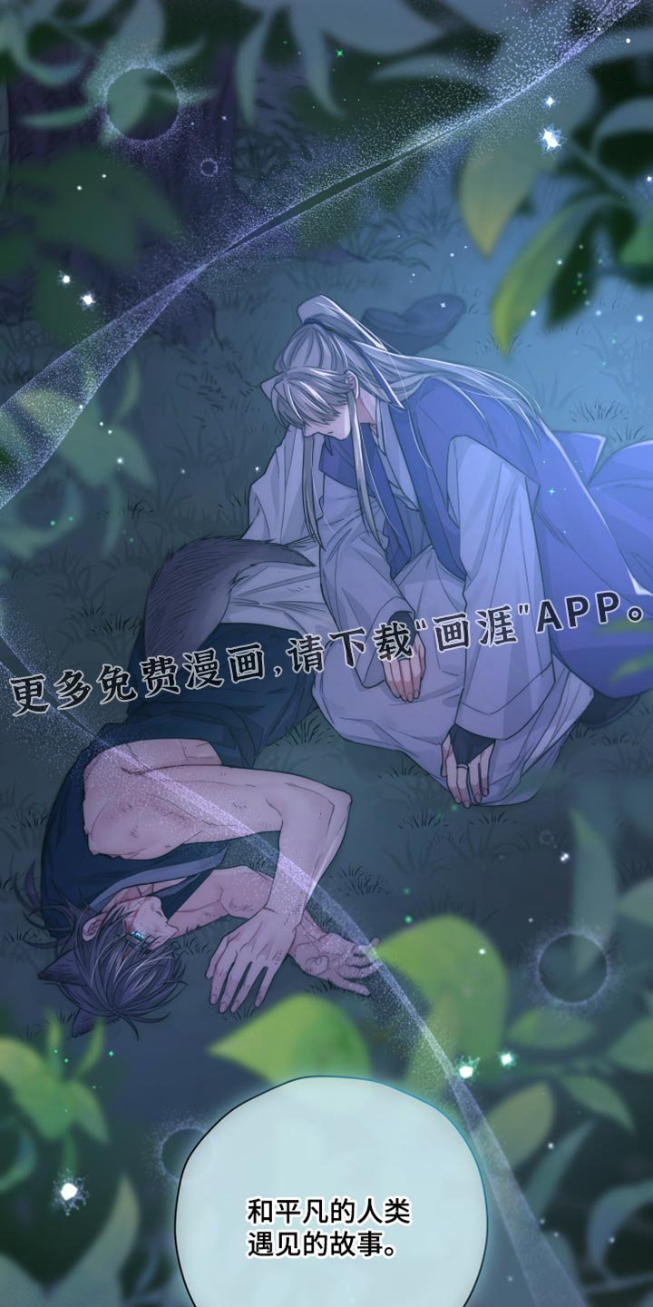 第41章：狼人的一切（第一季完结）