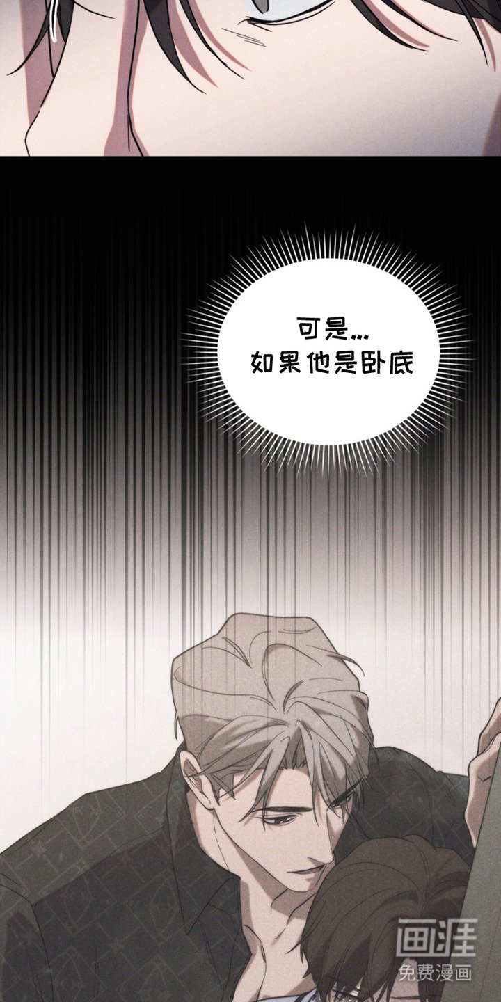 第17章：卧底