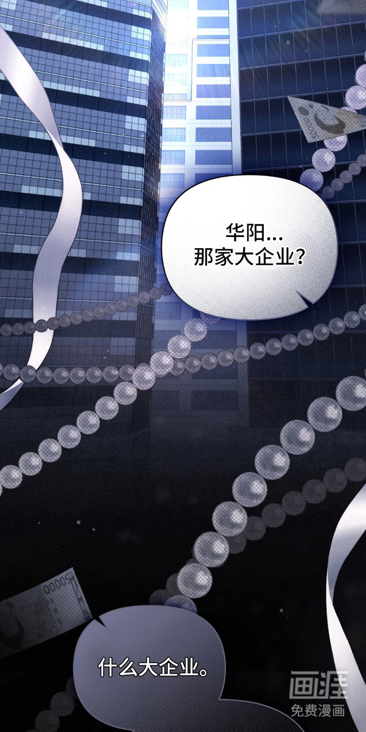 第18章：机密情报